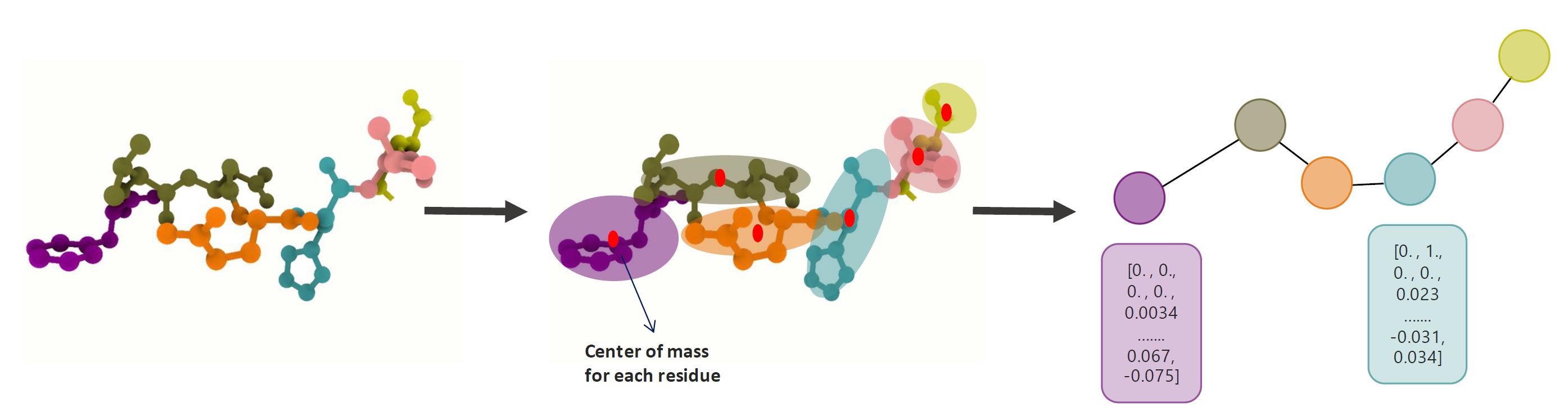Protein graph construction