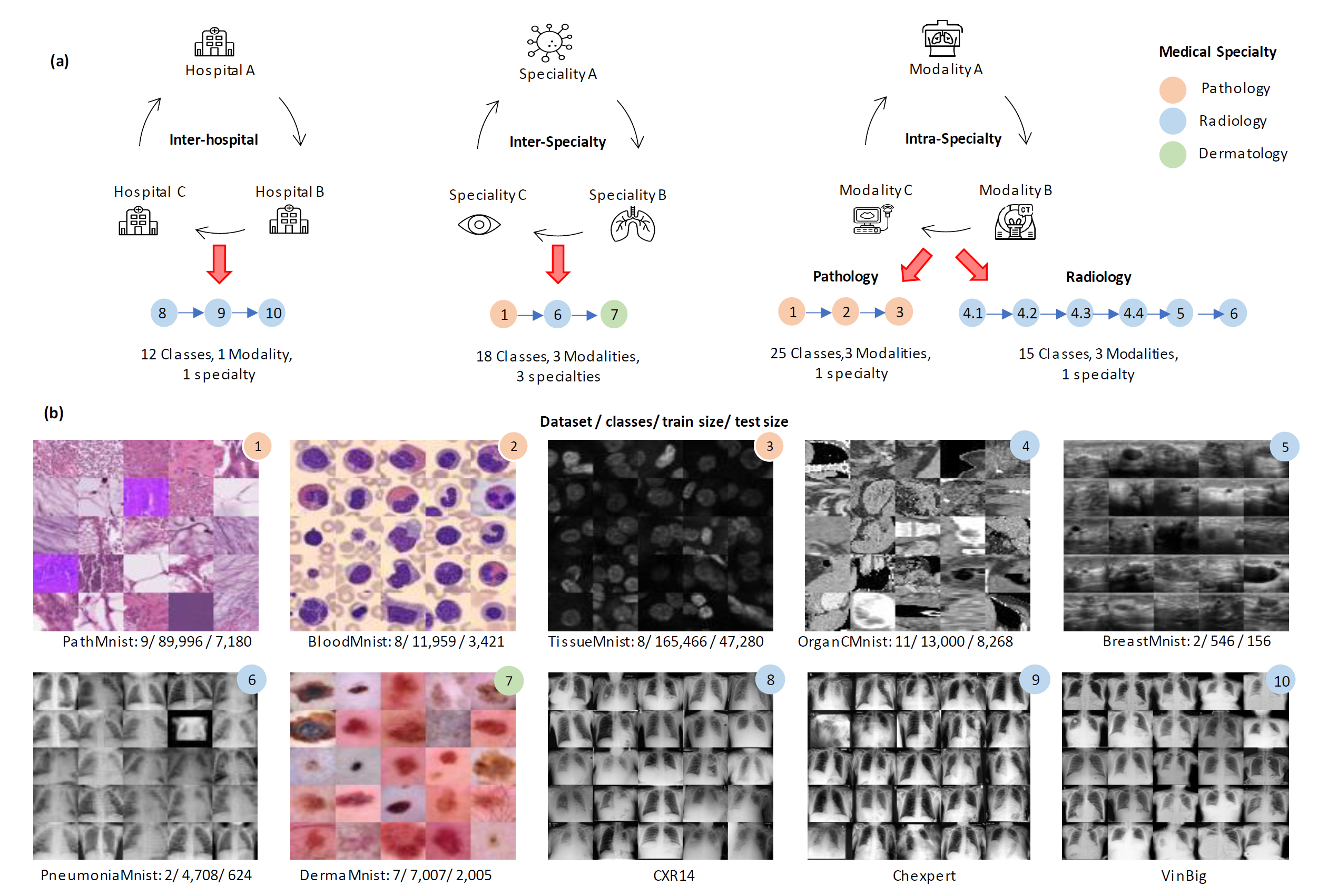 Continual learning scenarios and datasets