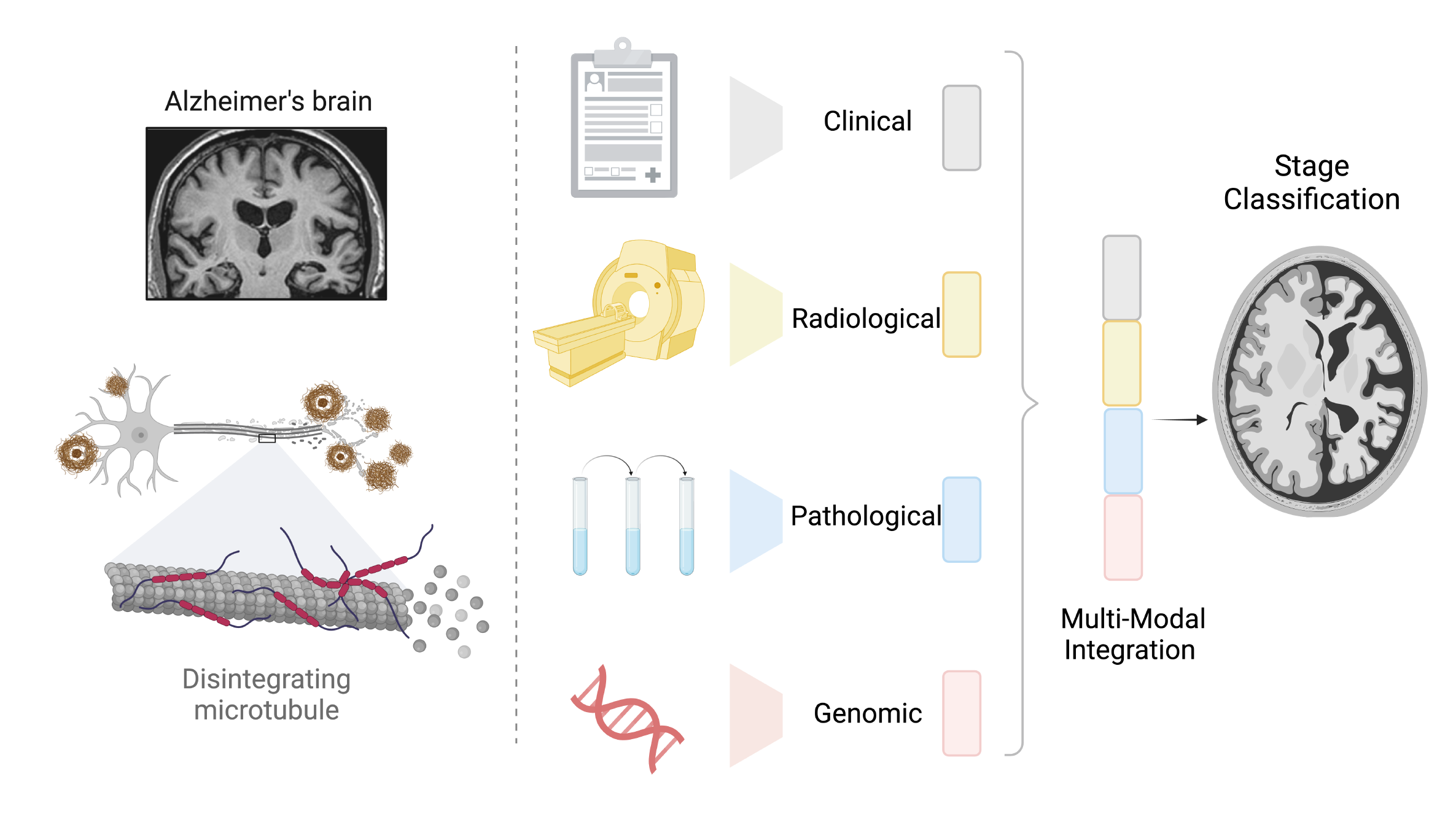 Overview of the multi-modal deep feature integration model