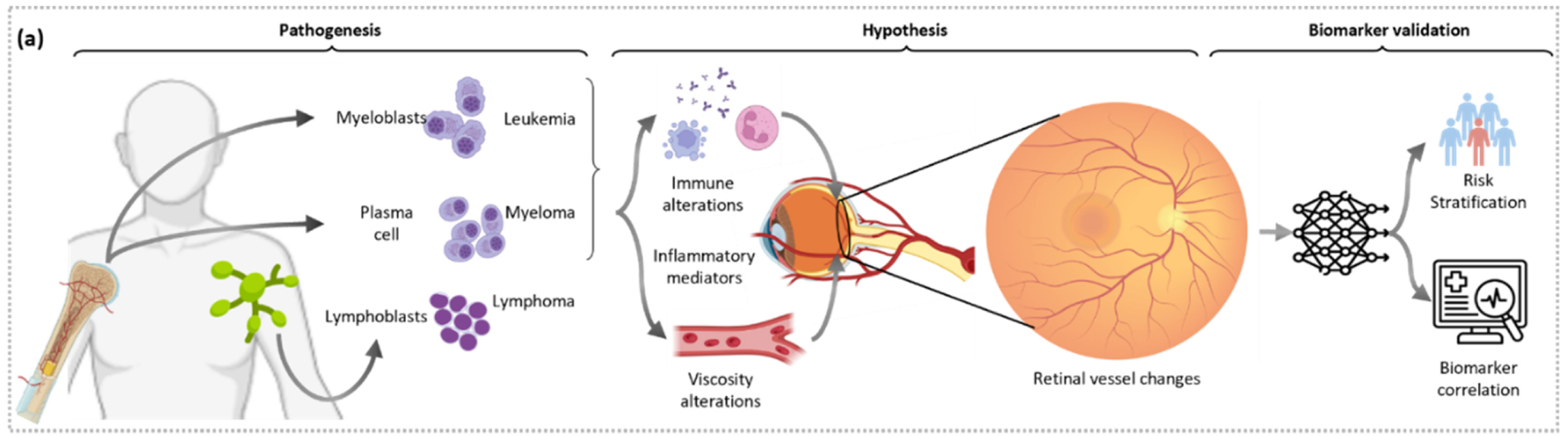 RetHemo pathogenesis, hypothesis, and biomarker validation pipeline
